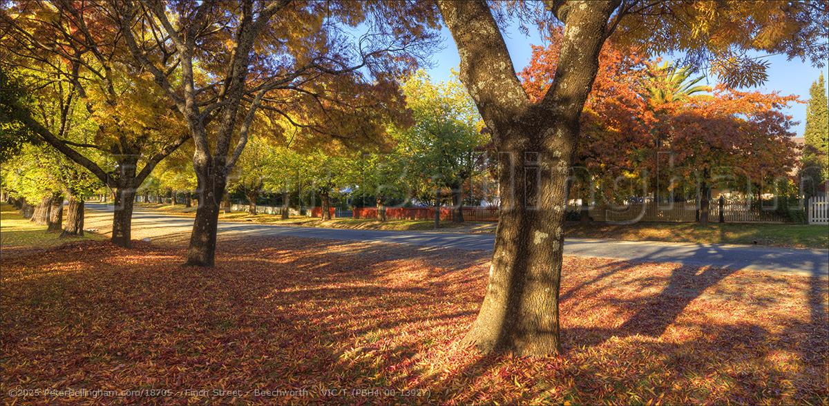 Peter Bellingham Photography Finch Street - Beechworth - VIC T (PBH4 00 13927)